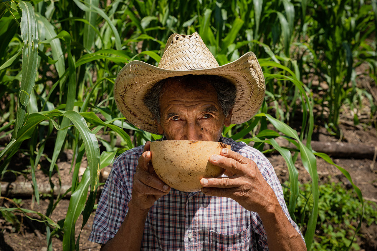 Jícara con pozole de maíz blanco servido en hoja de platanillo, bebida tradicional de San Jerónimo Tecoatl, Oaxaca.