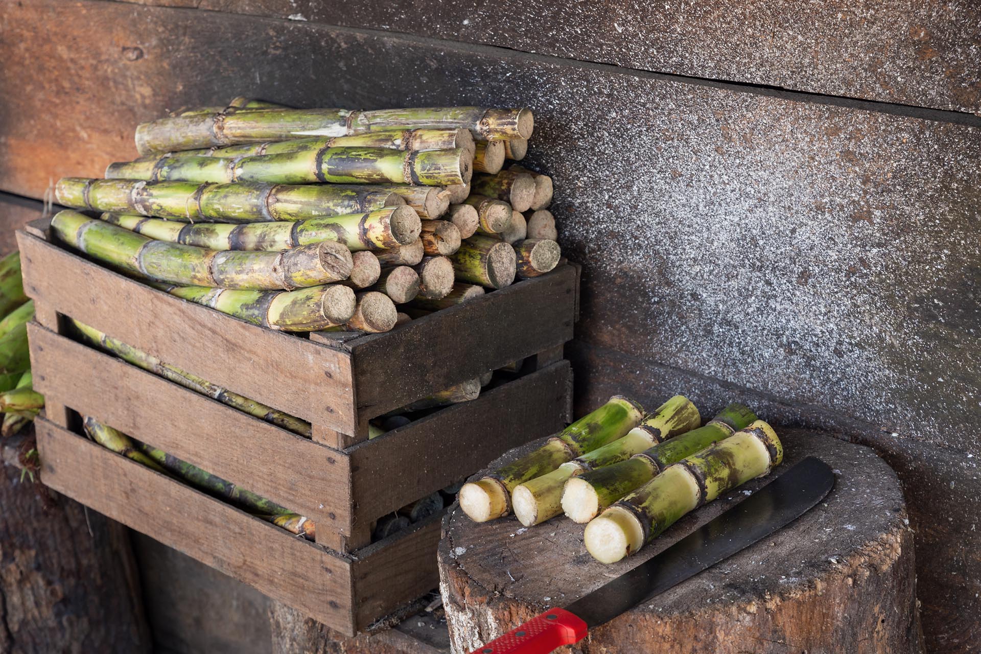 Tepache de caña en la Sierra Sur de Oaxaca