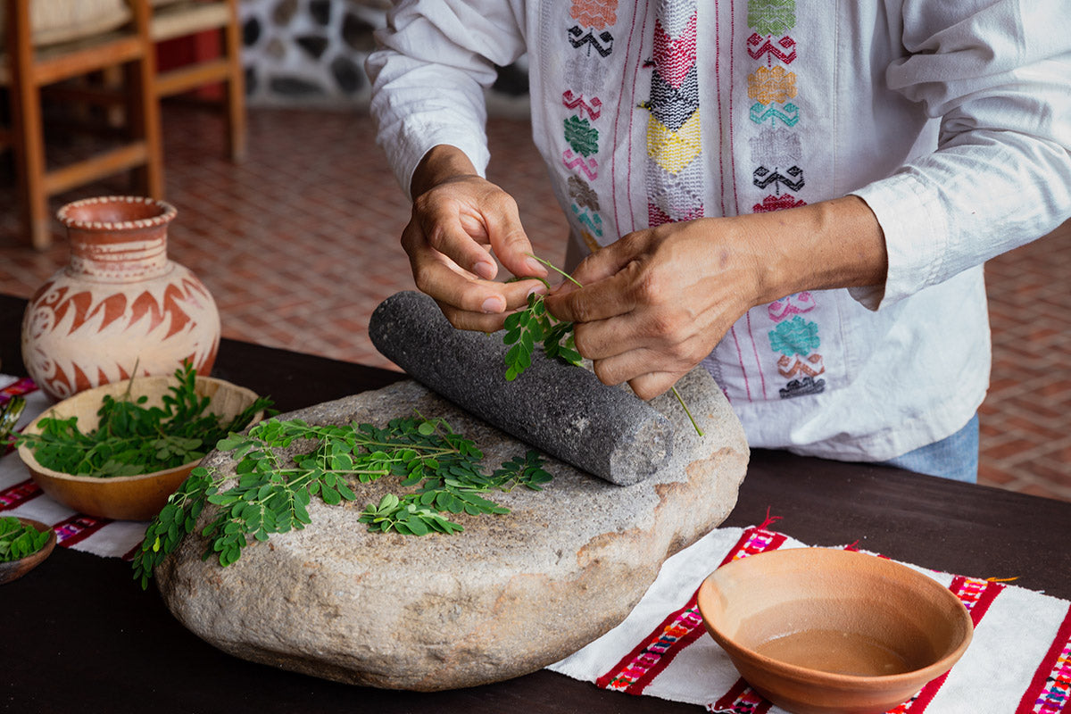 Agua de Moringa: Una bebida fresca, nutritiva y llena de historia desde Putla, Oaxaca