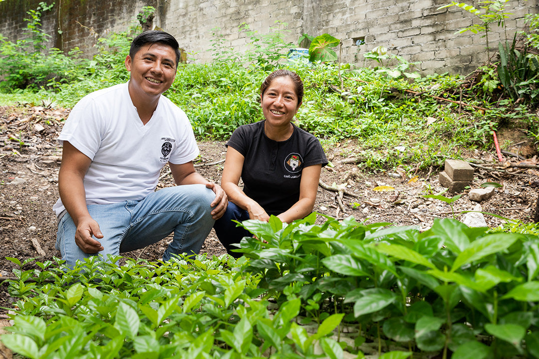 Productores de Café Labrador preparando y tostando café en Putla, Oaxaca.