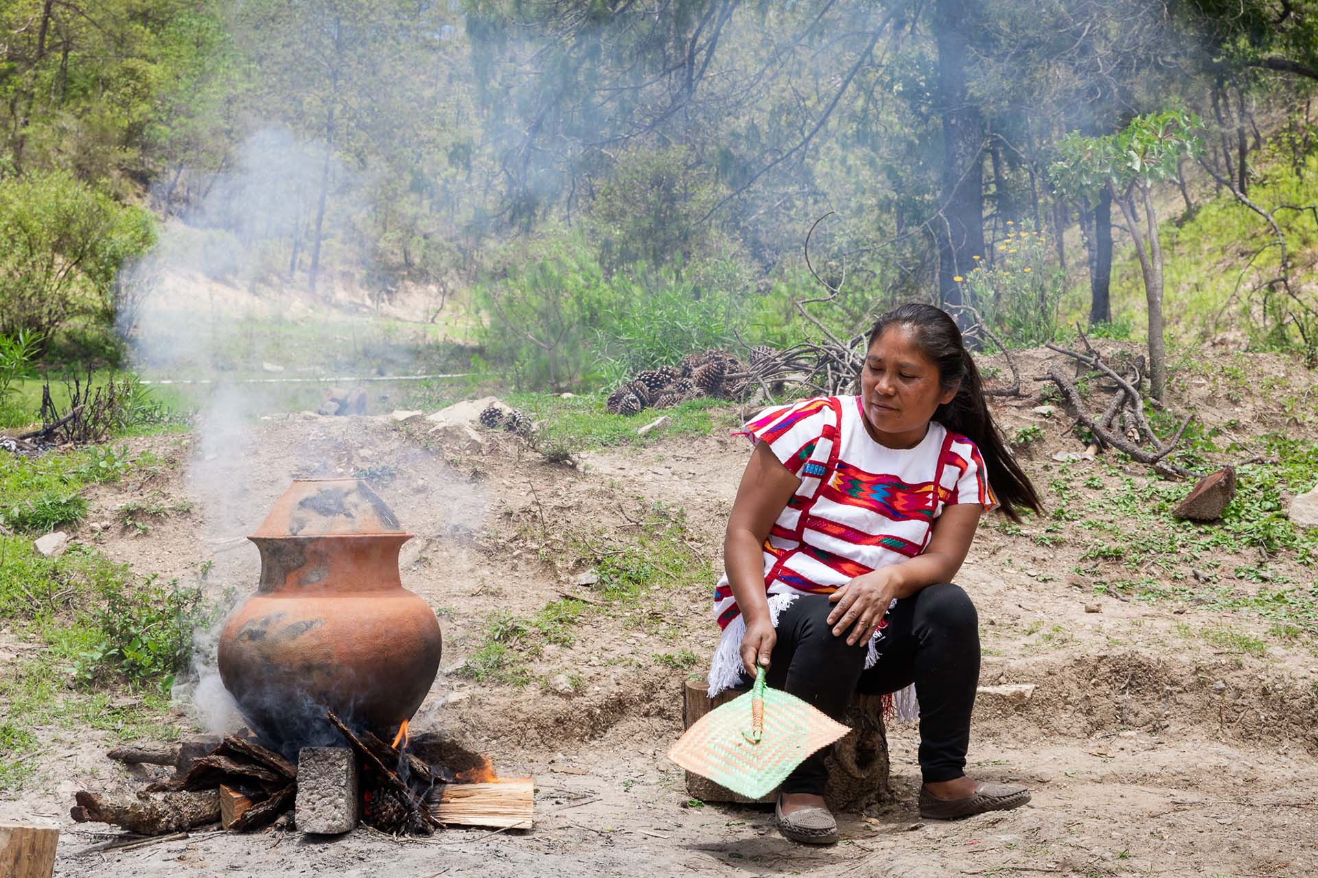 Ticunchi: bebida de maguey rosa de Tlaxiaco, Oaxaca