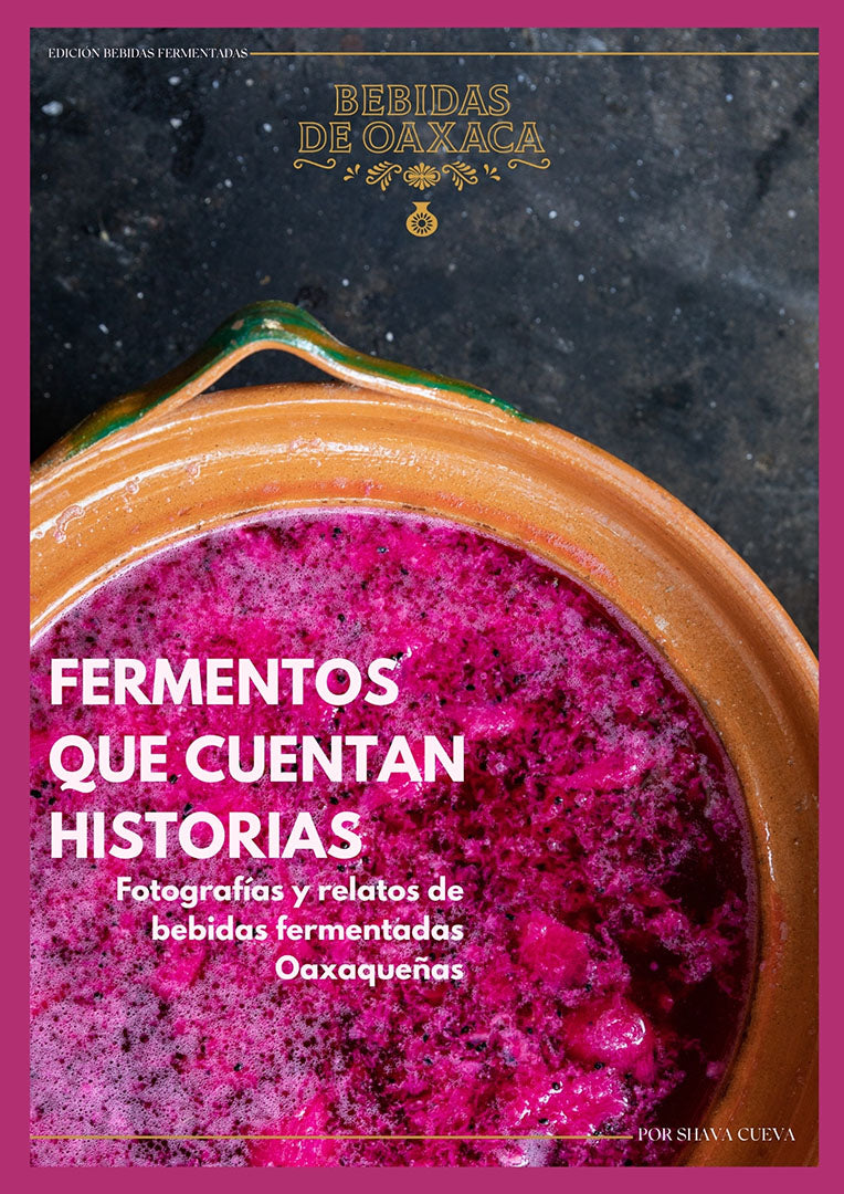 Bebidas fermentadas de Oaxaca | Versión digital