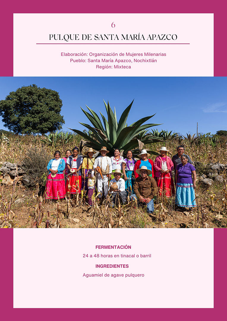 Bebidas fermentadas de Oaxaca | Versión digital