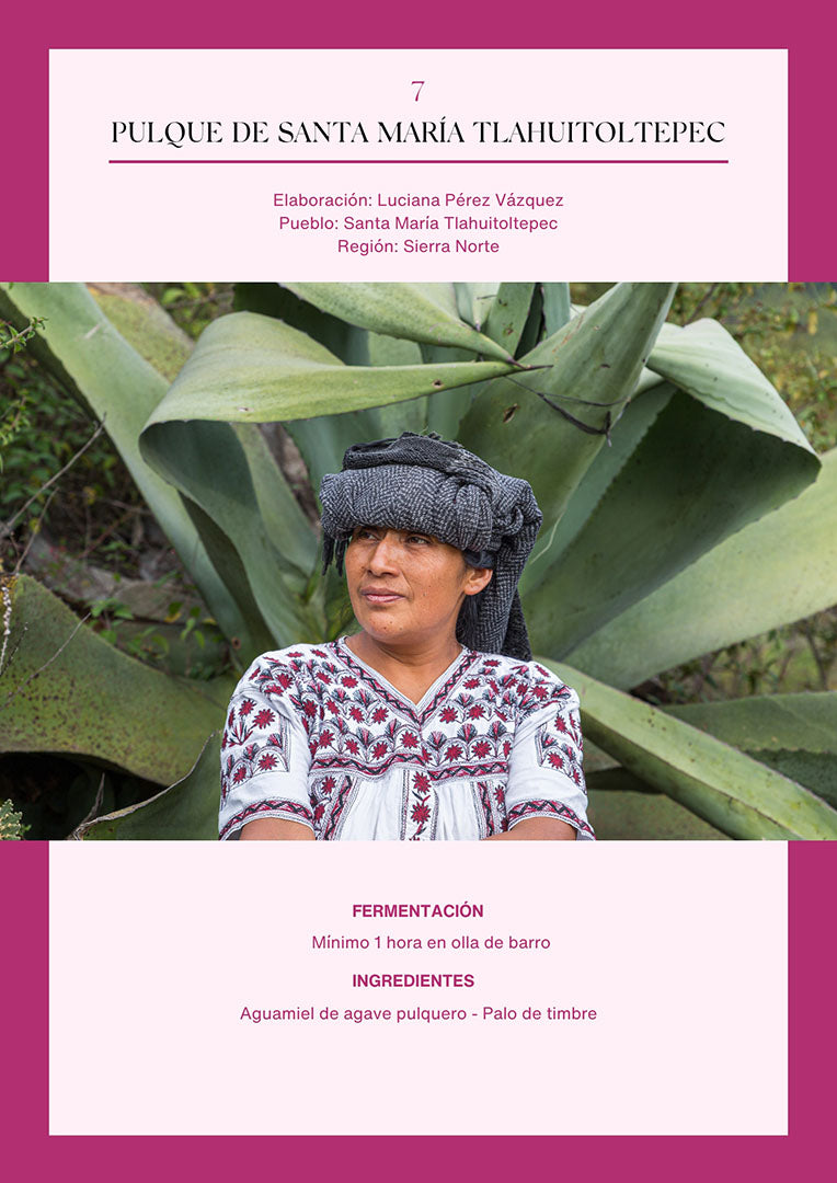 Bebidas fermentadas de Oaxaca | Versión digital