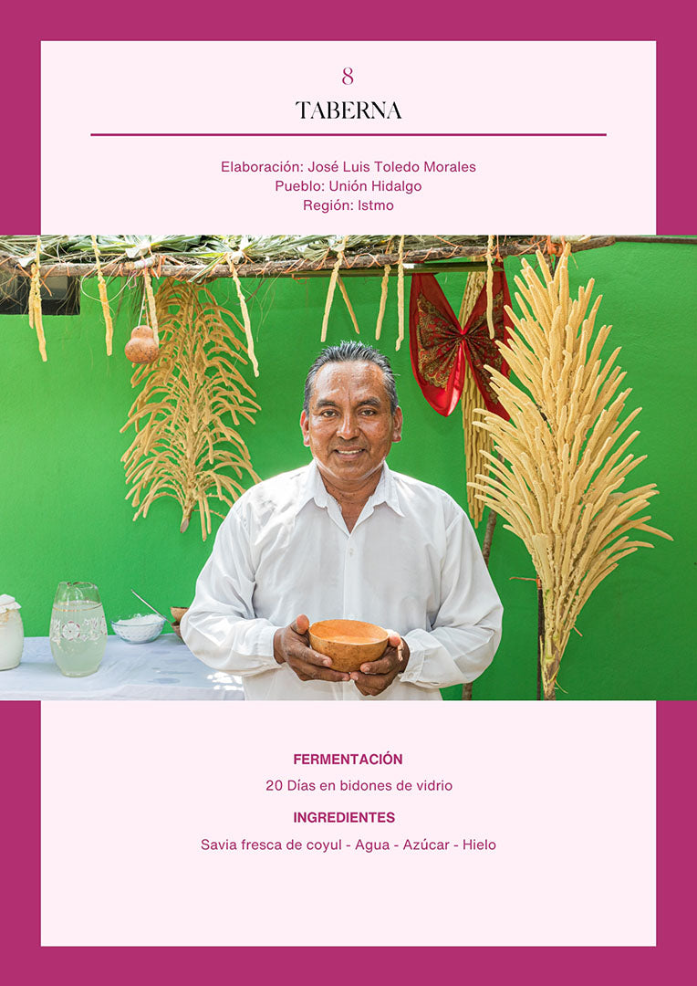 Bebidas fermentadas de Oaxaca | Versión digital