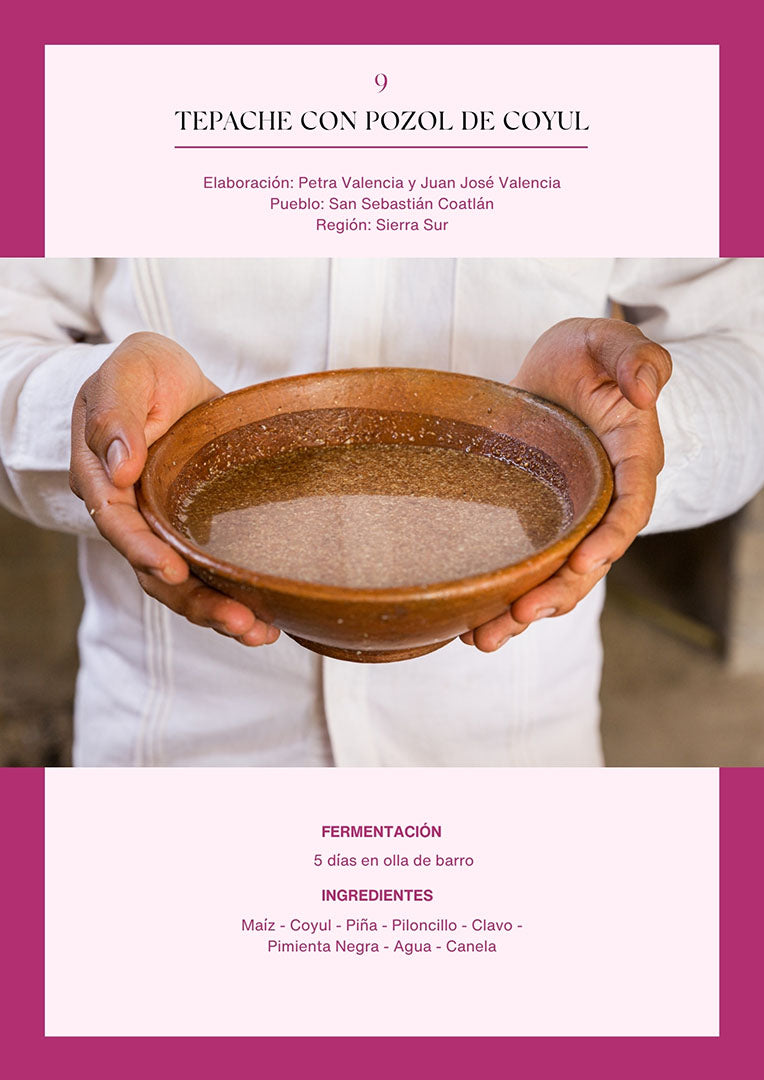 Bebidas fermentadas de Oaxaca | Versión digital