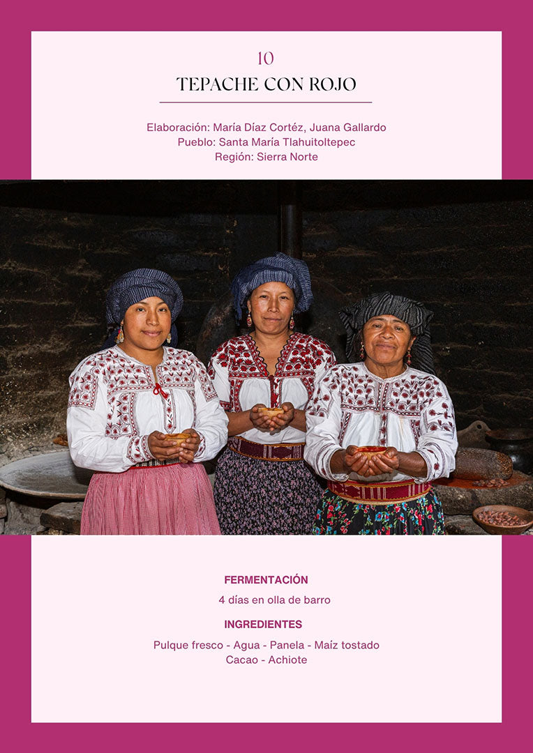 Bebidas fermentadas de Oaxaca | Versión digital