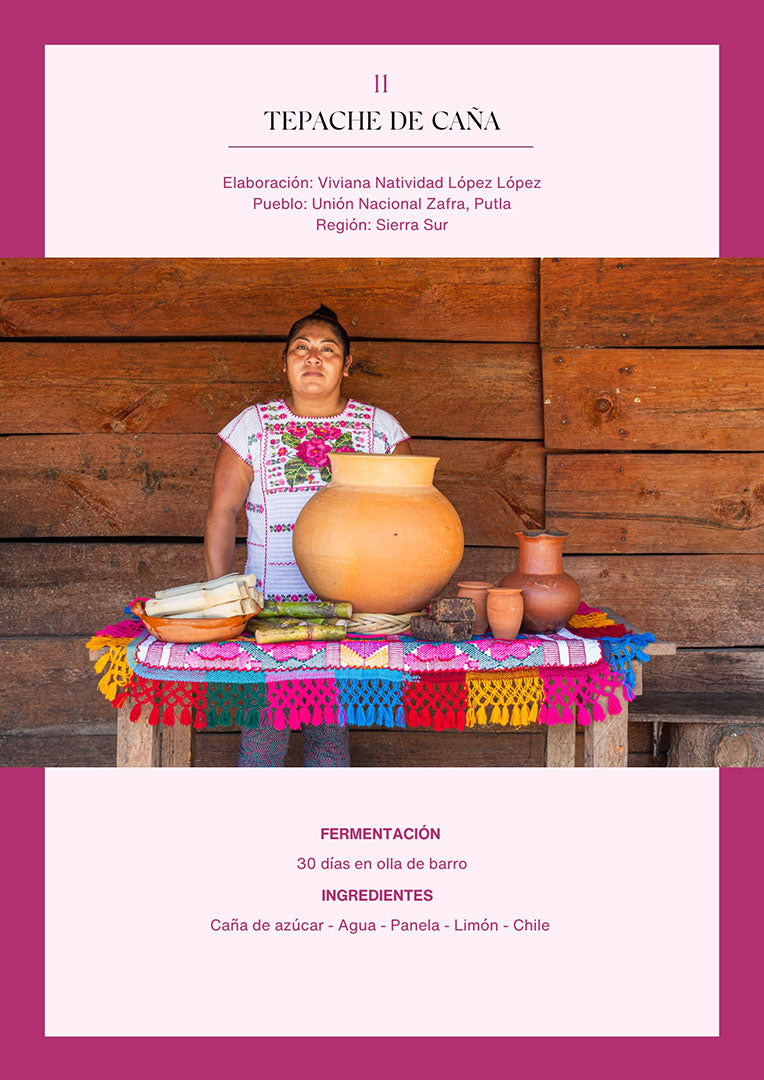 Bebidas fermentadas de Oaxaca | Versión digital