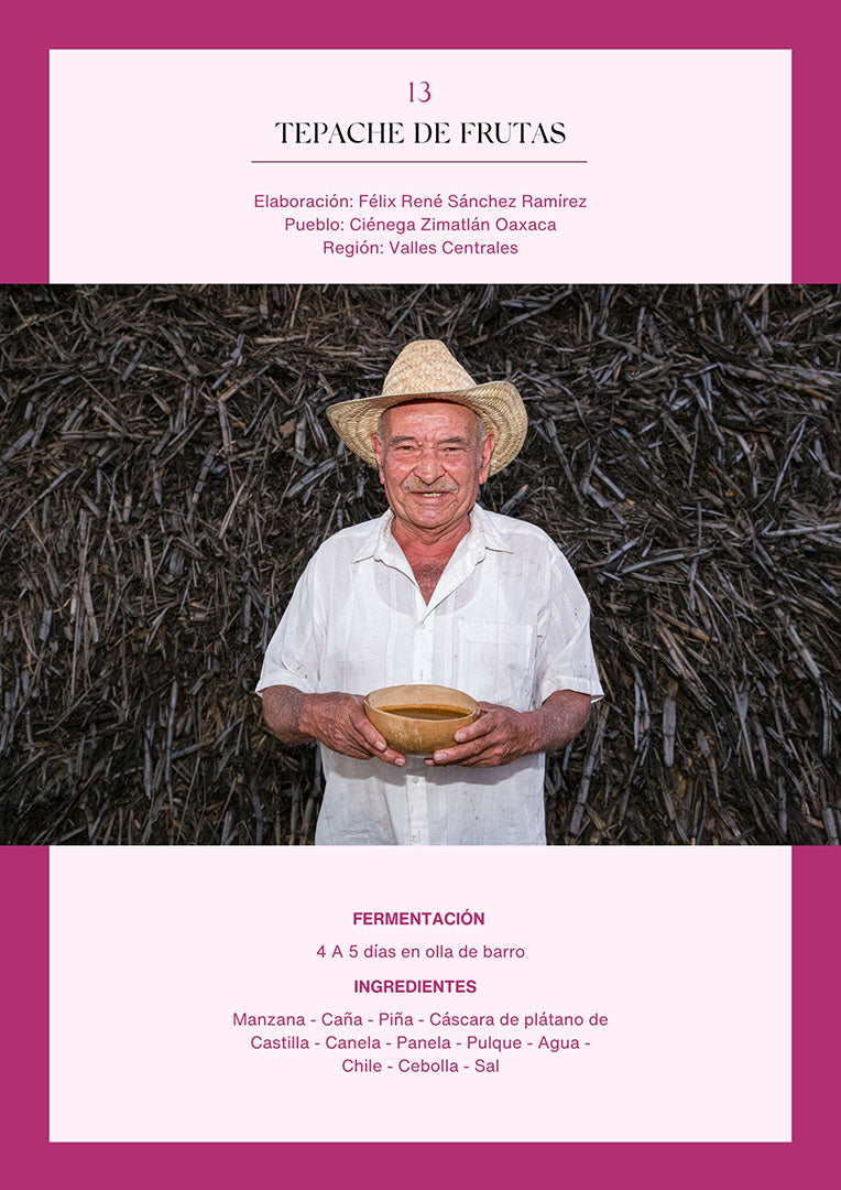 Bebidas fermentadas de Oaxaca | Versión digital