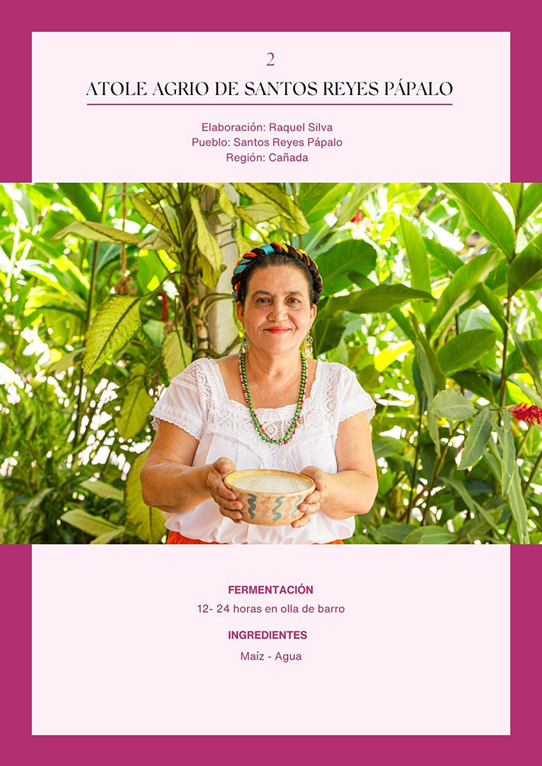 Bebidas fermentadas de Oaxaca | Versión digital