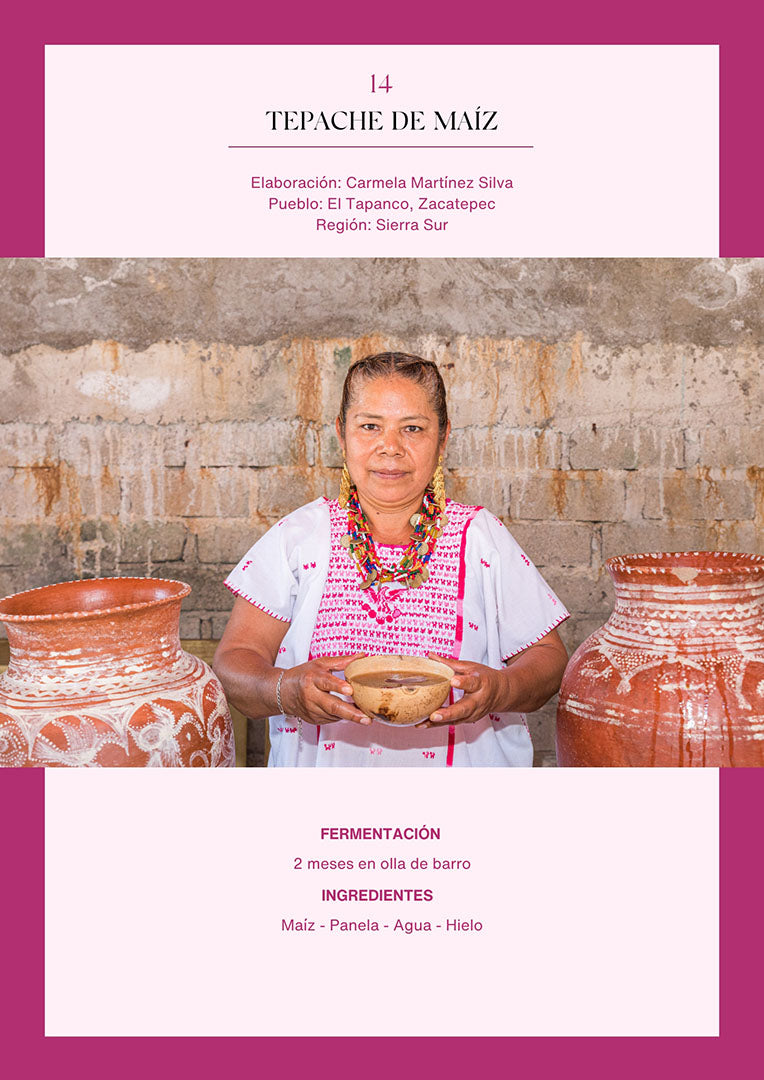 Bebidas fermentadas de Oaxaca | Versión digital