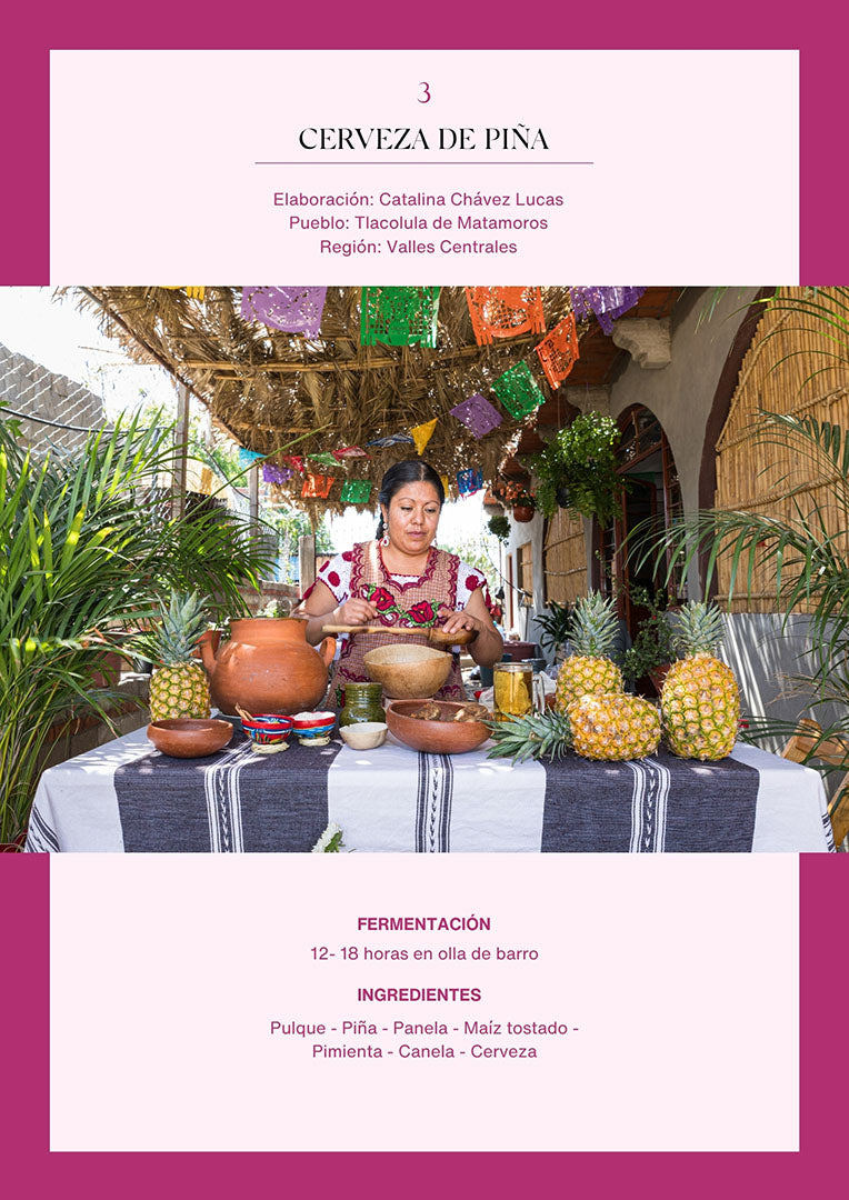 Bebidas fermentadas de Oaxaca | Versión digital
