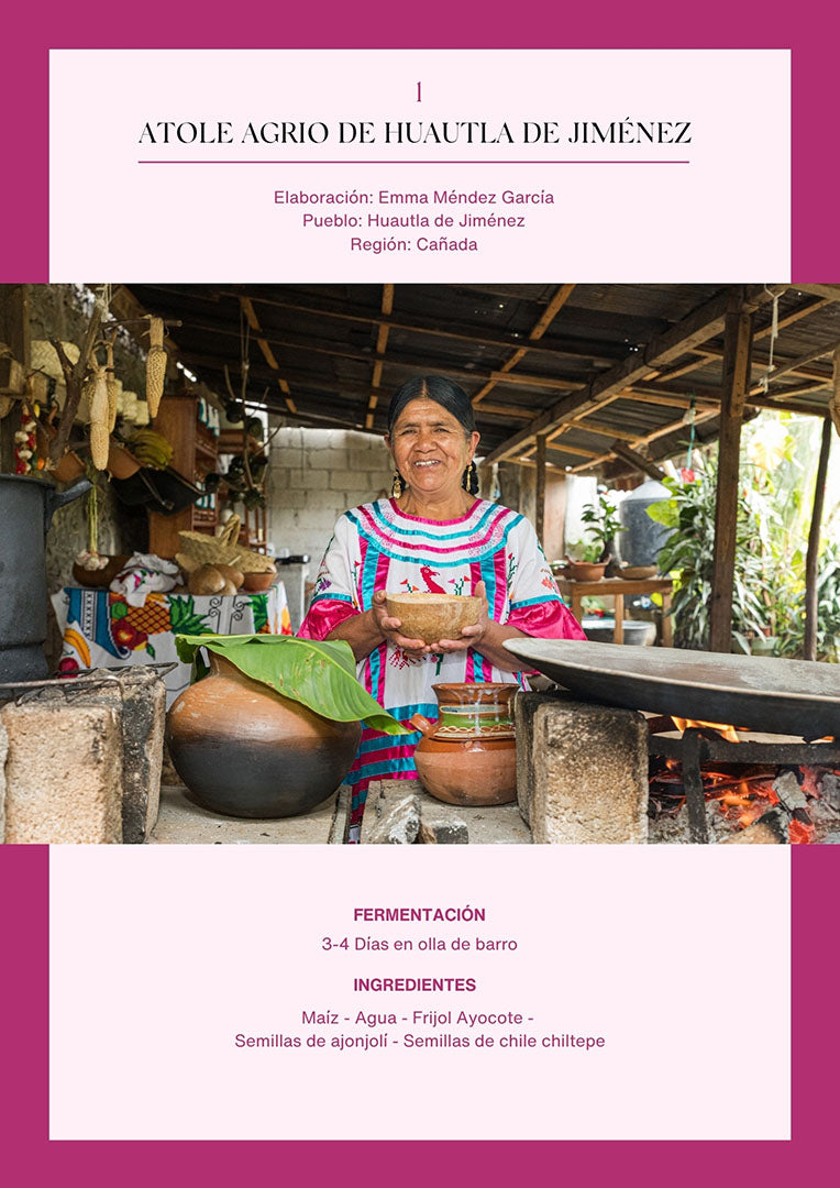 Bebidas fermentadas de Oaxaca | Versión digital