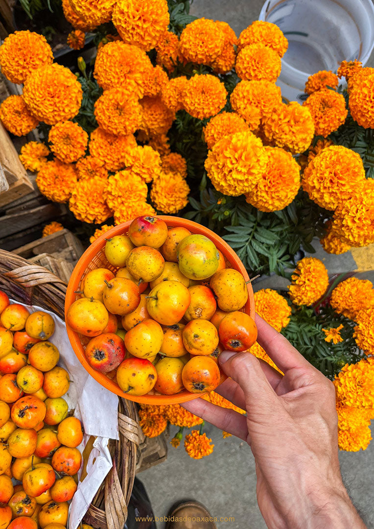 Bebidas fermentadas de Oaxaca | Versión digital