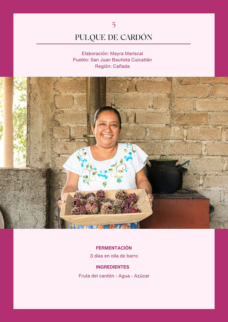 Bebidas fermentadas de Oaxaca | Versión digital