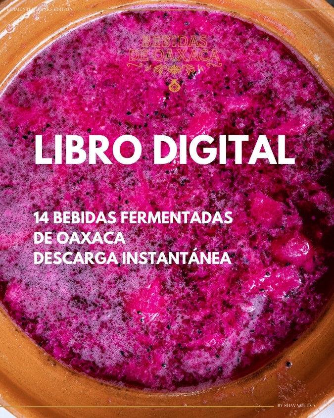 Bebidas fermentadas de Oaxaca | Versión digital