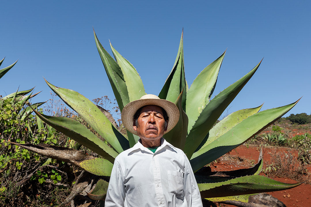 Bebidas de Oaxaca