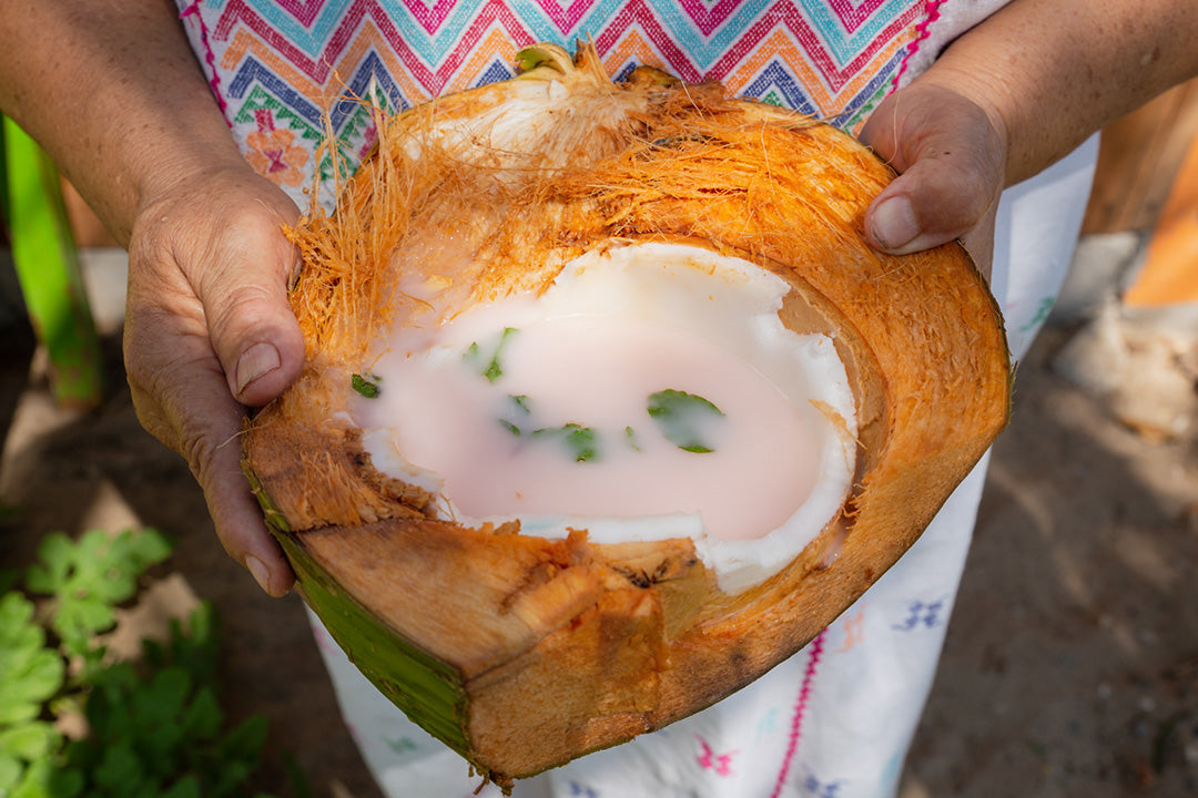 cocol en Chacahua, Oaxaca, bebida tradicional a base de coco.
