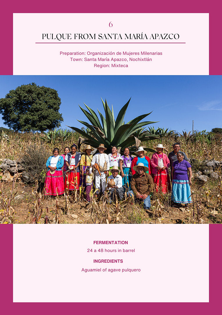 Fermented Drinks of Oaxaca – Digital Edition