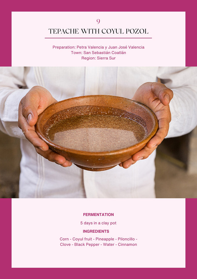 Fermented Drinks of Oaxaca – Digital Edition