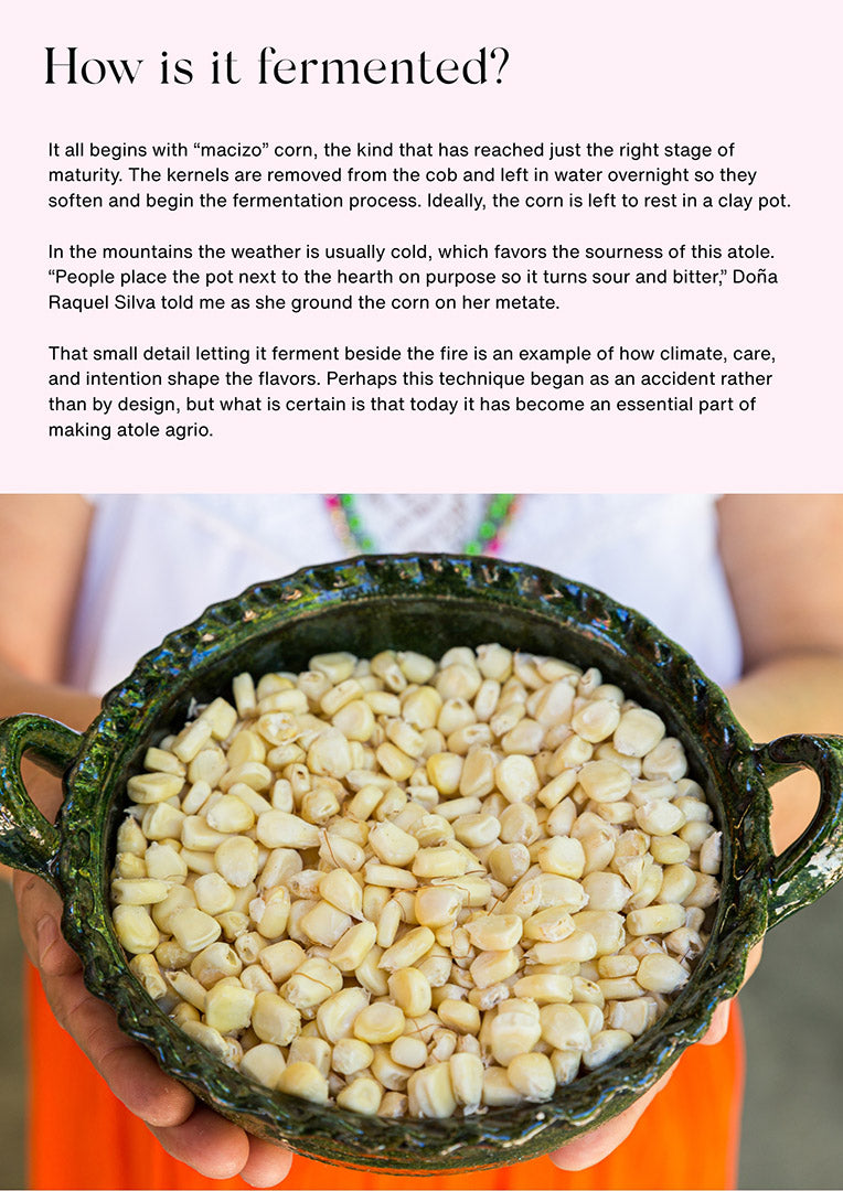 Fermented Drinks of Oaxaca – Digital Edition