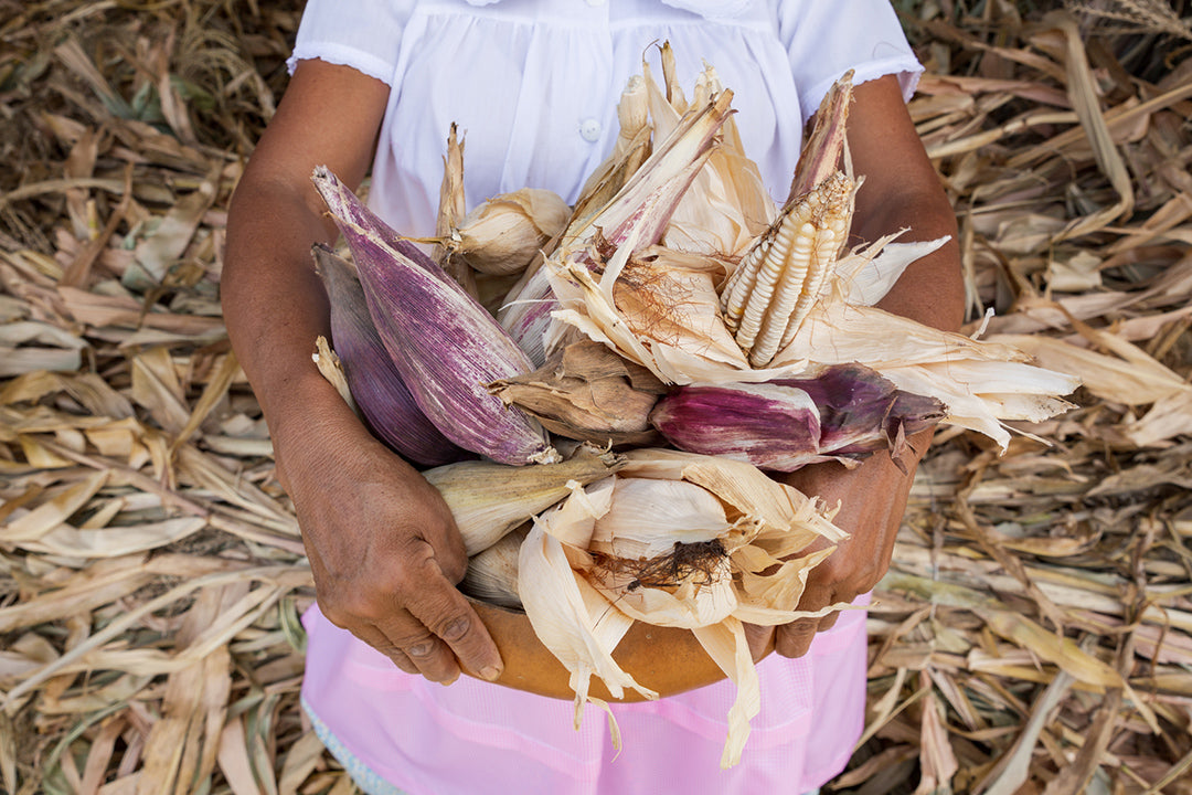 Xhobe Humo y Sal - Bebidas Tradicionales