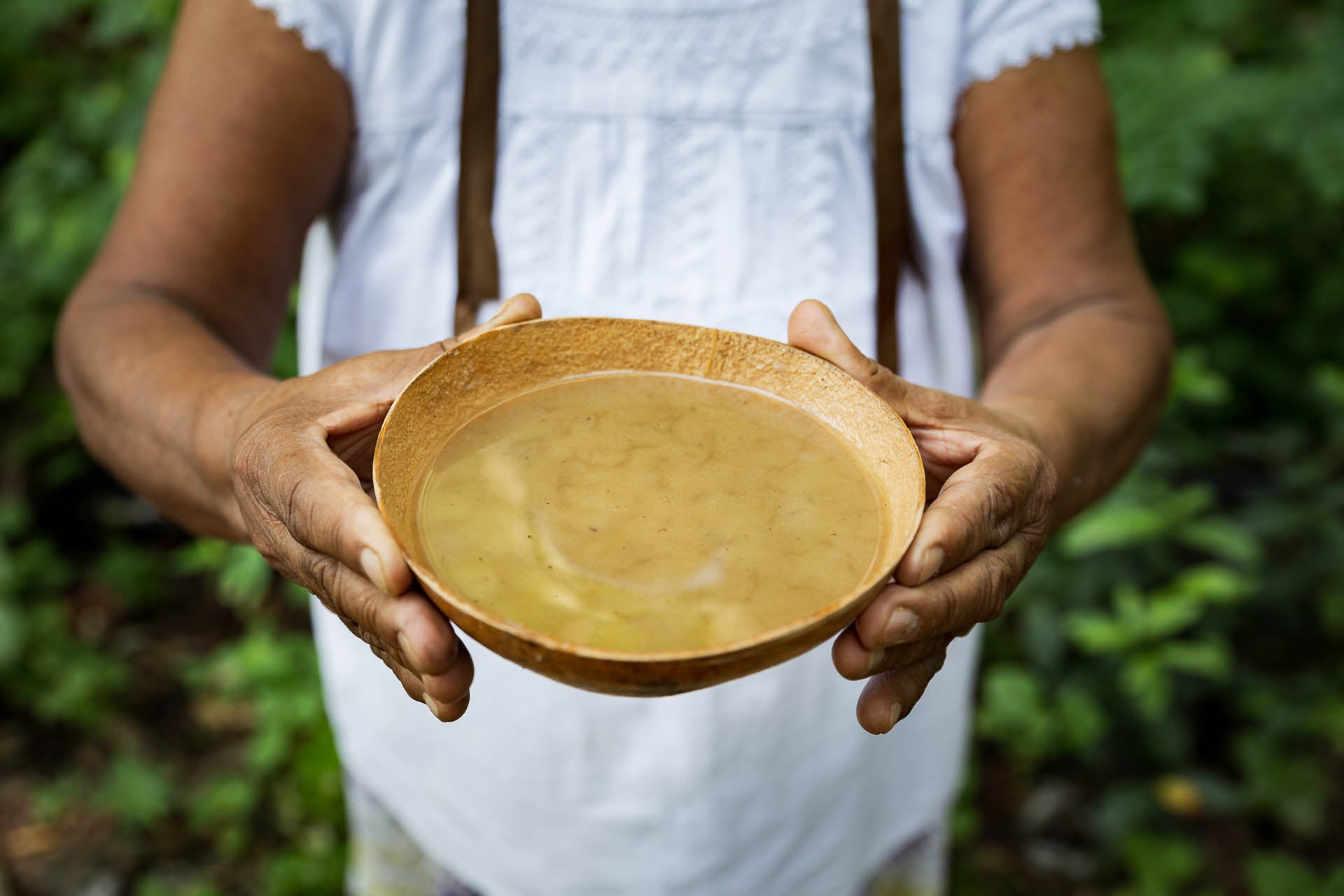 Versión digital | Bebidas de Oaxaca en español - Segunda Edición