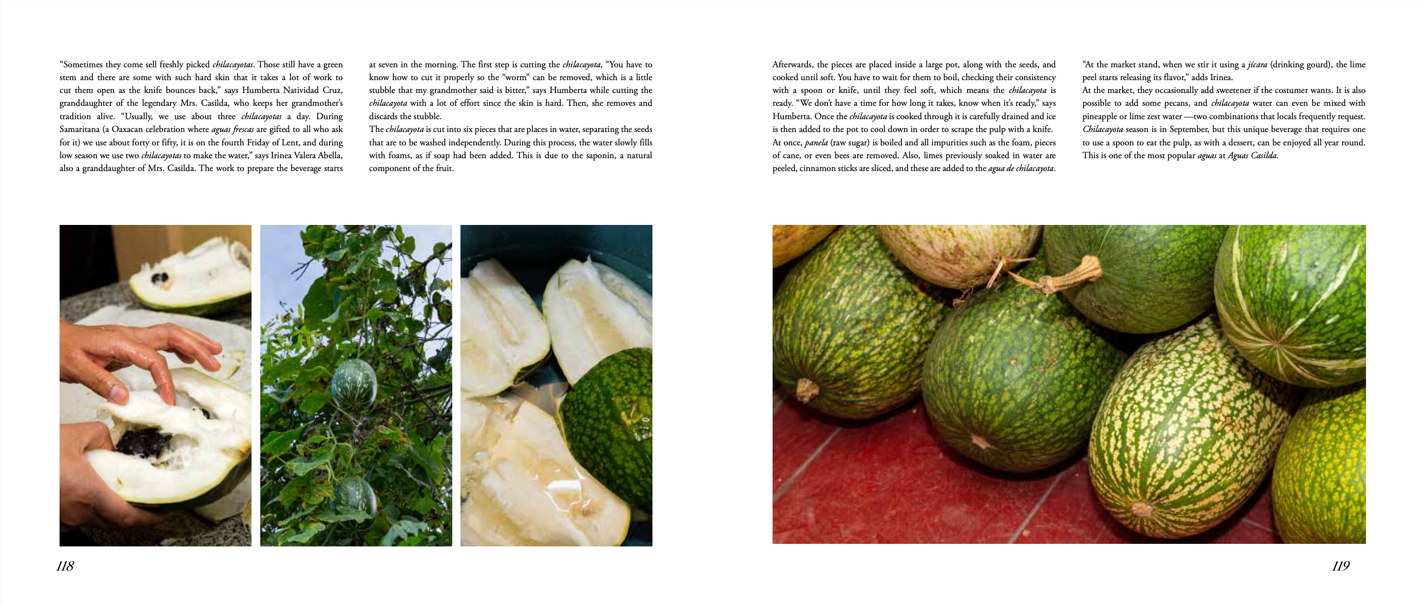 Digital version | Beverages of Oaxaca in english - 2nd Edition