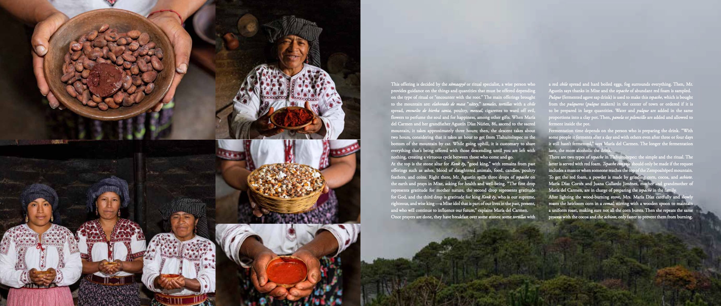 Digital version | Beverages of Oaxaca in english - 2nd Edition