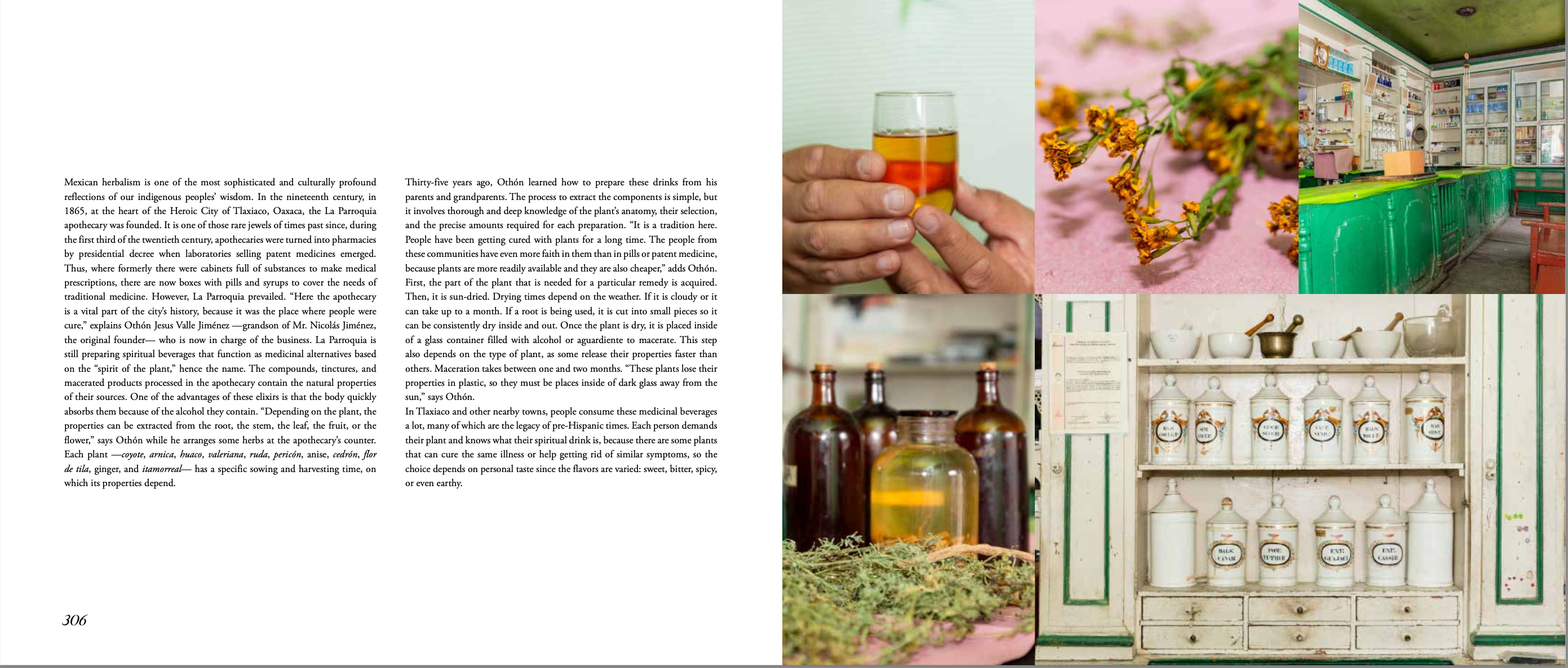Digital version | Beverages of Oaxaca in english - 2nd Edition