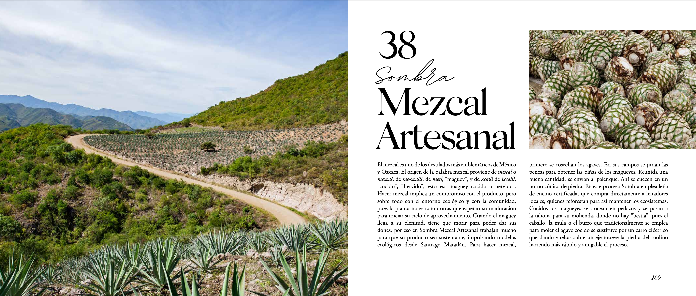 Versión digital | Bebidas de Oaxaca en español - Segunda Edición