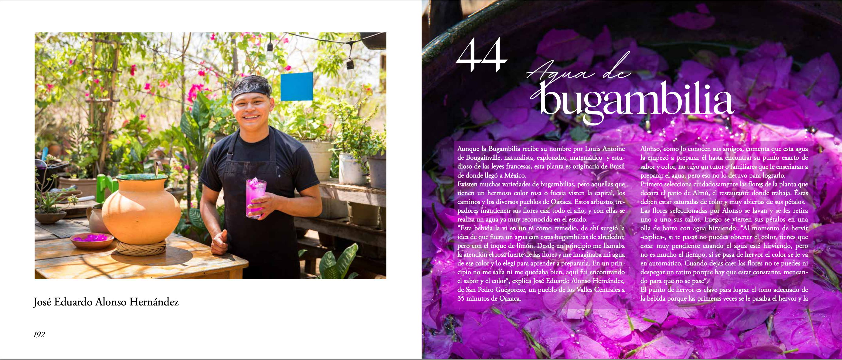 Versión digital | Bebidas de Oaxaca en español - Segunda Edición
