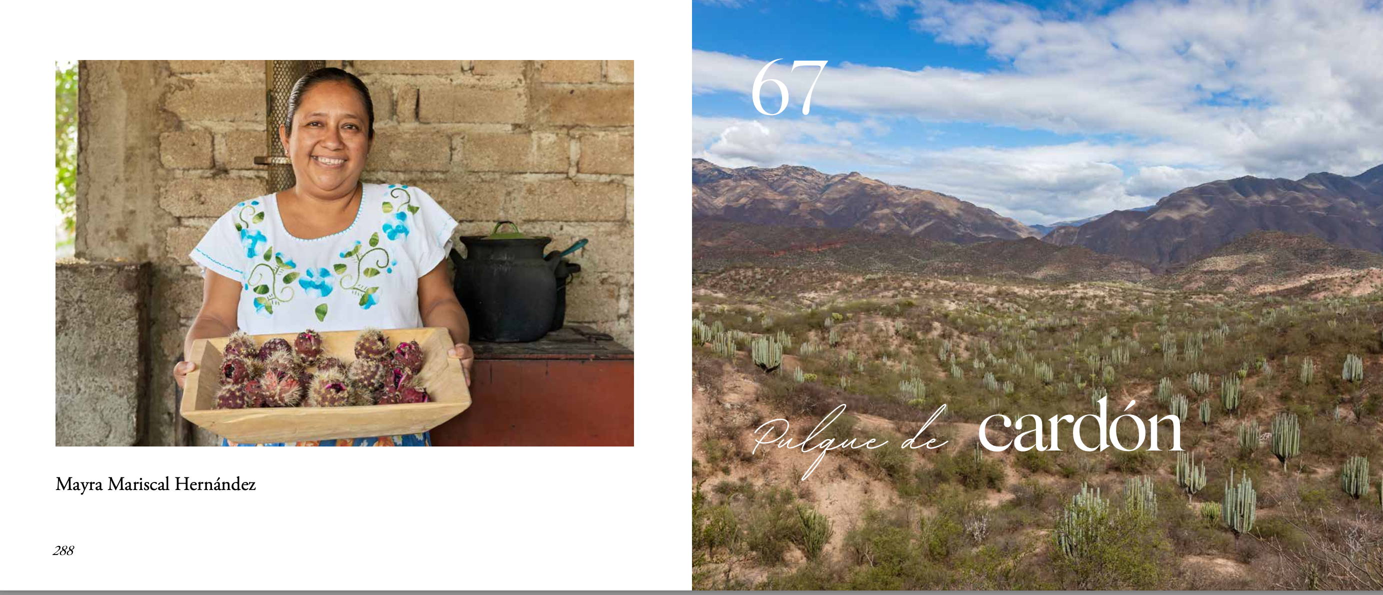 Versión digital | Bebidas de Oaxaca en español - Segunda Edición