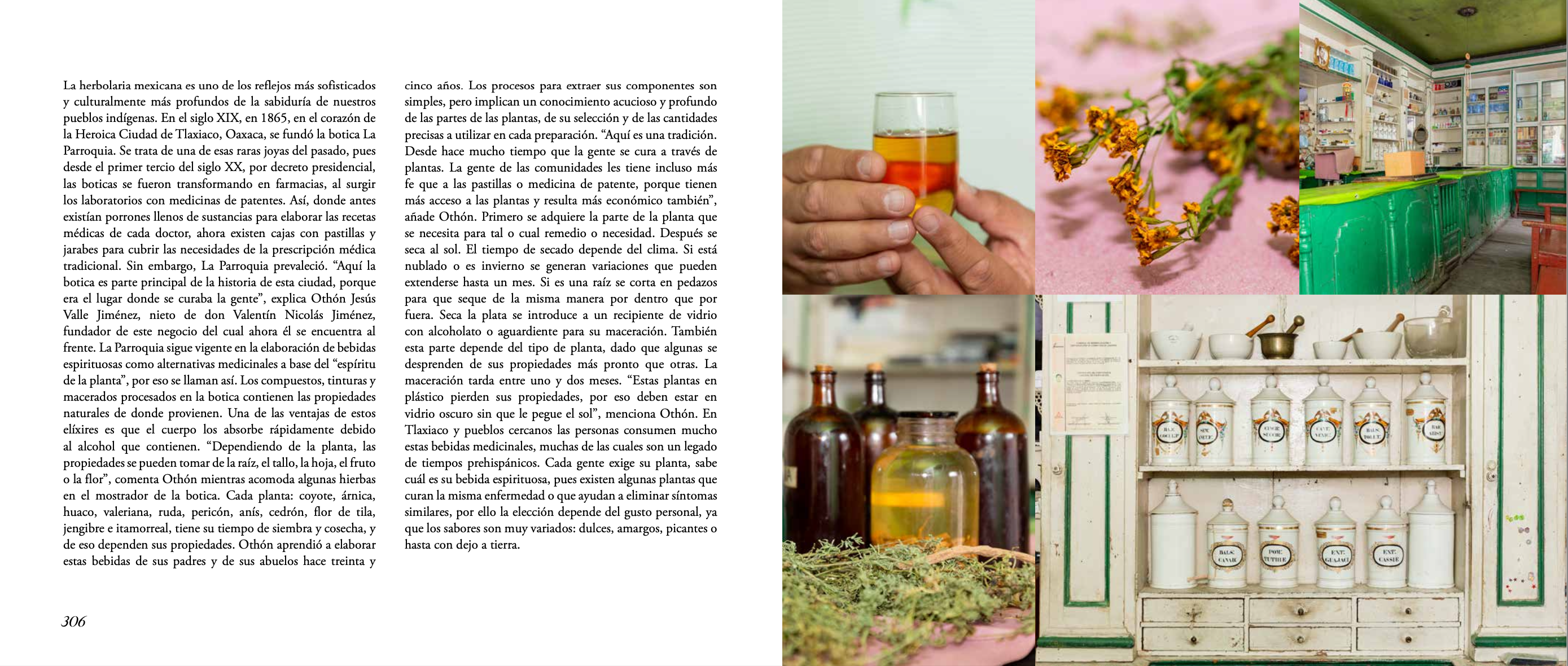 Versión digital | Bebidas de Oaxaca en español - Segunda Edición
