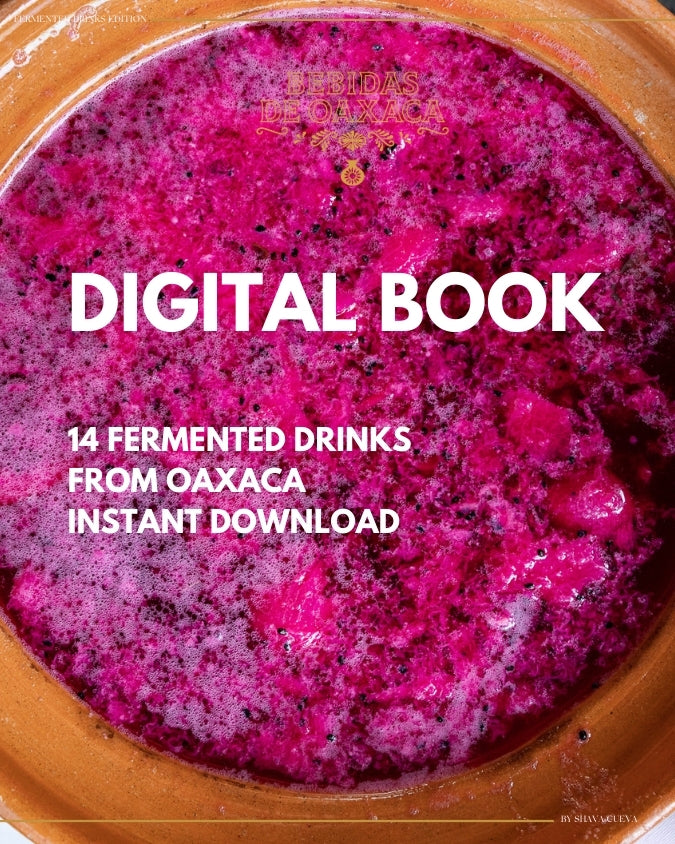 Fermented Drinks of Oaxaca – Digital Edition
