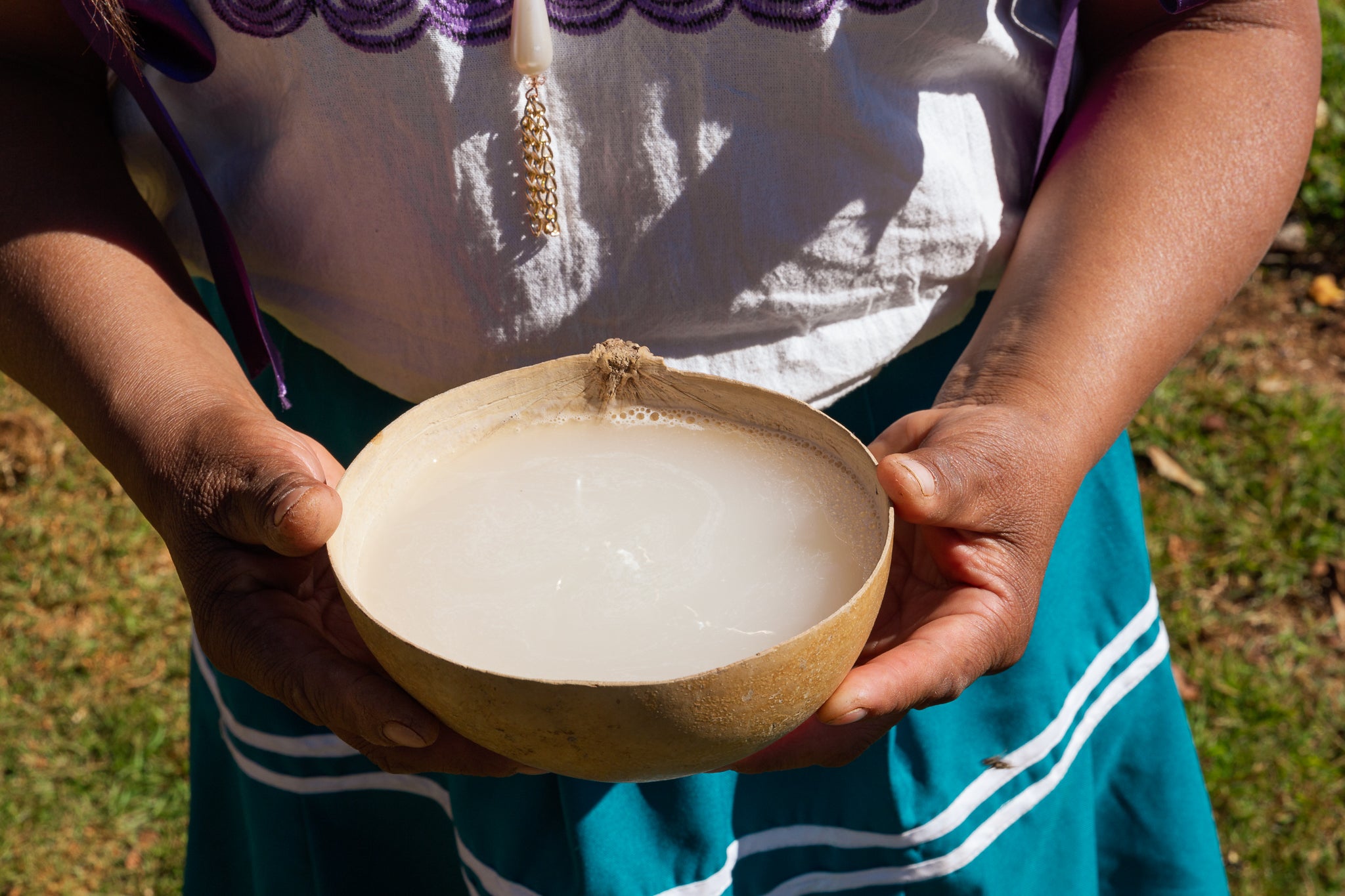 Digital version | Beverages of Oaxaca in english - 2nd Edition