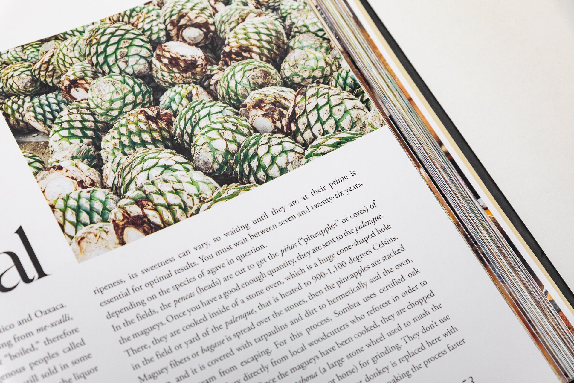 Beverages of Oaxaca book - English version hardcover 2nd edition