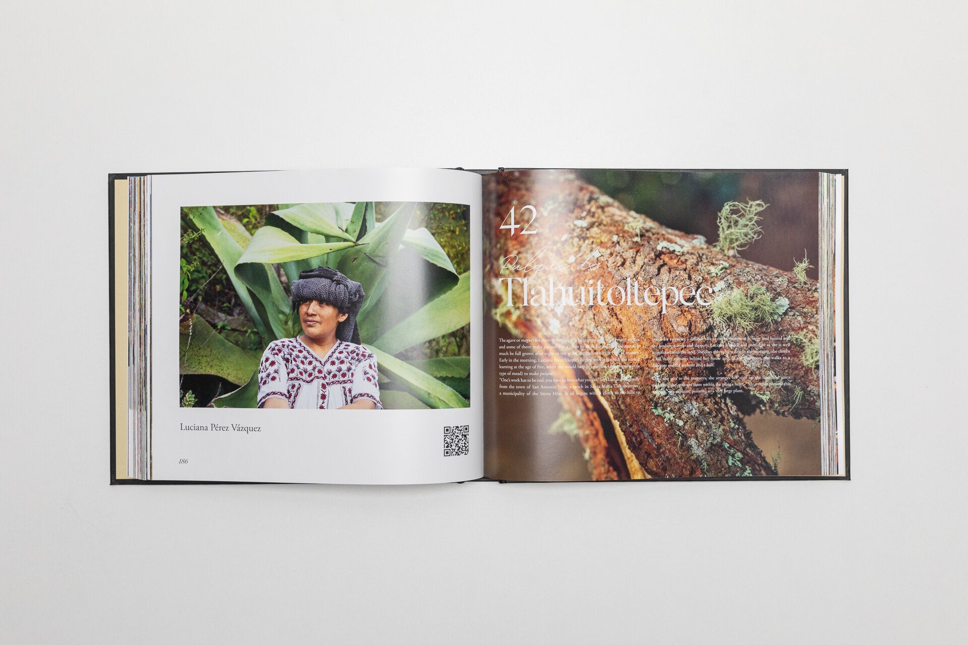 Beverages of Oaxaca book - English version hardcover 2nd edition